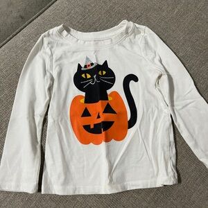 Cat & pumpkin shirt
